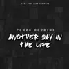 Ponzo Houdini - Another Day in the Life - Single
